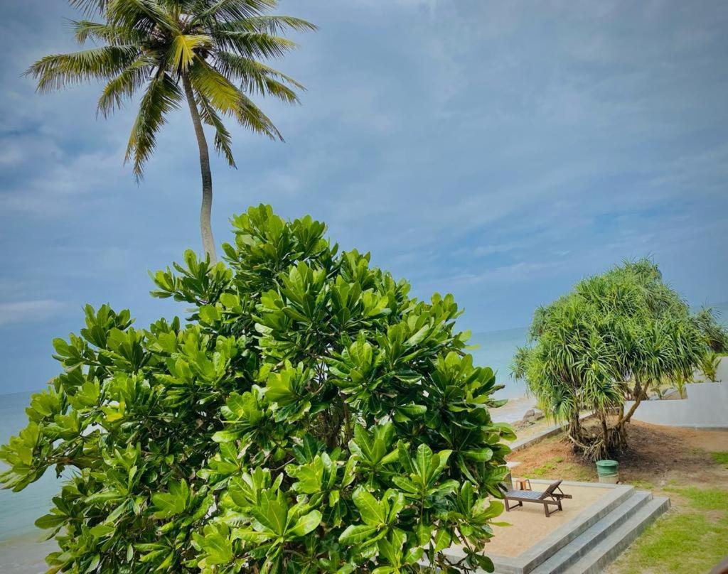 Sevenra Grand Beach Hotel Ambalangoda  Bagian luar foto